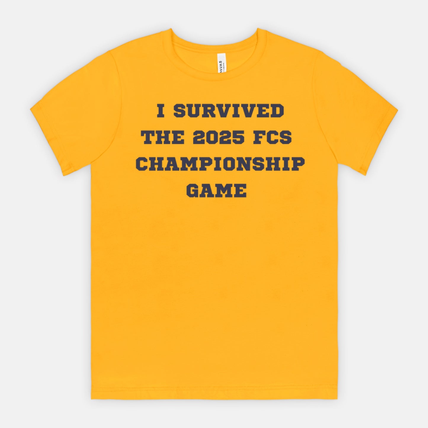 I Survived the 2025 FCS Championship Game - text only