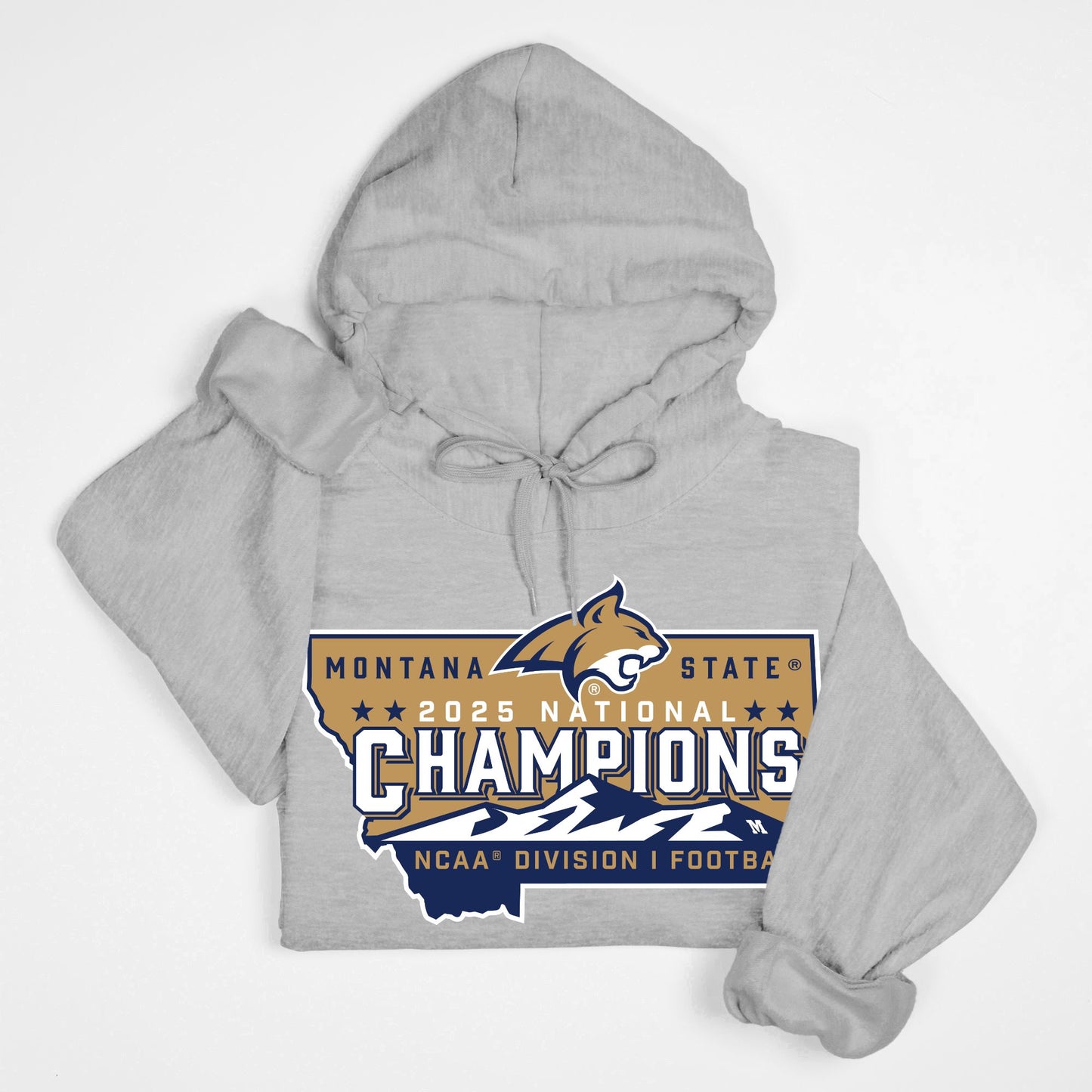 Hoodie - Official NCAA Champions Logo (multiple colors)