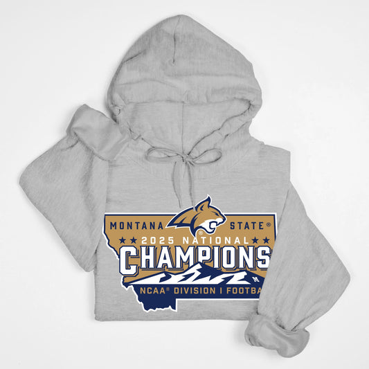 Hoodie - Official NCAA Champions Logo (multiple colors)