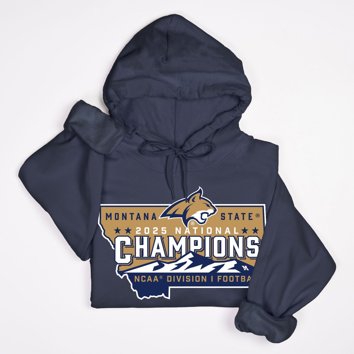 Hoodie - Official NCAA Champions Logo (multiple colors)