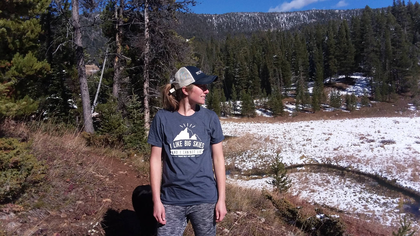 I Like Big Skies and I Can Not Lie - Unisex Tee