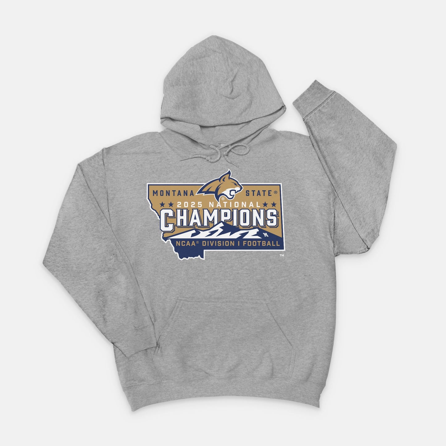 Hoodie - Official NCAA Champions Logo (multiple colors)